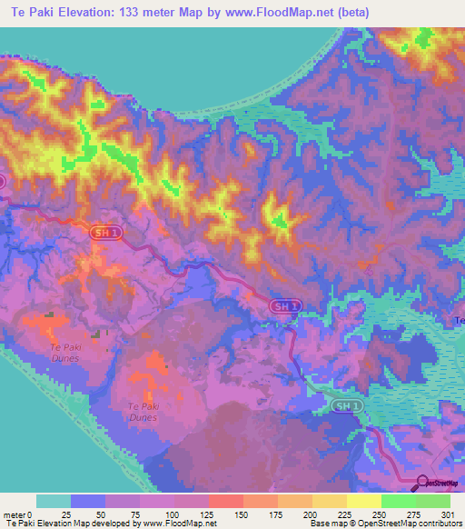 Te Paki,New Zealand Elevation Map