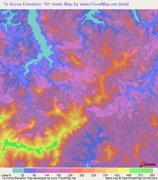 Te Koroa,New Zealand Elevation Map