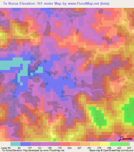 Te Koroa,New Zealand Elevation Map