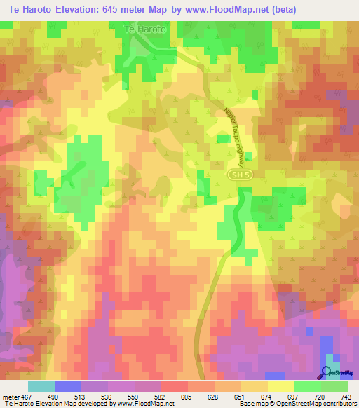 Te Haroto,New Zealand Elevation Map