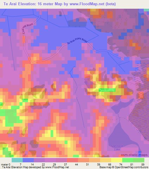 Te Arai,New Zealand Elevation Map