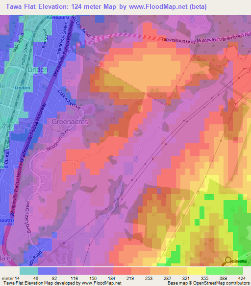 Tawa Flat,New Zealand Elevation Map