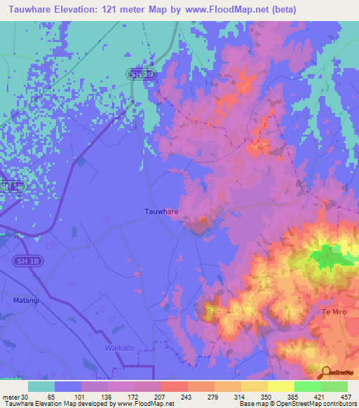 Tauwhare,New Zealand Elevation Map