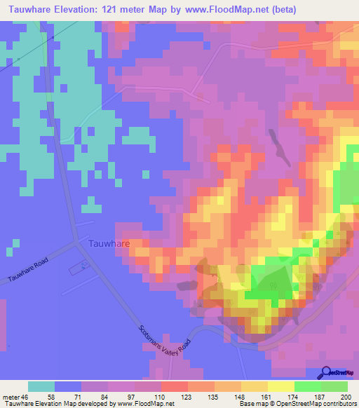 Tauwhare,New Zealand Elevation Map