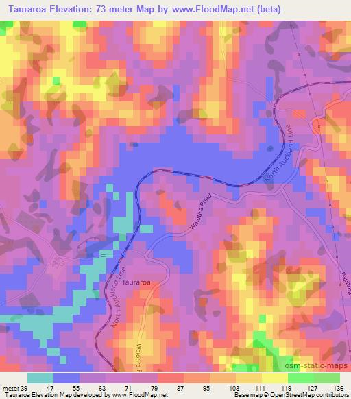 Tauraroa,New Zealand Elevation Map
