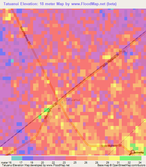Tatuanui,New Zealand Elevation Map