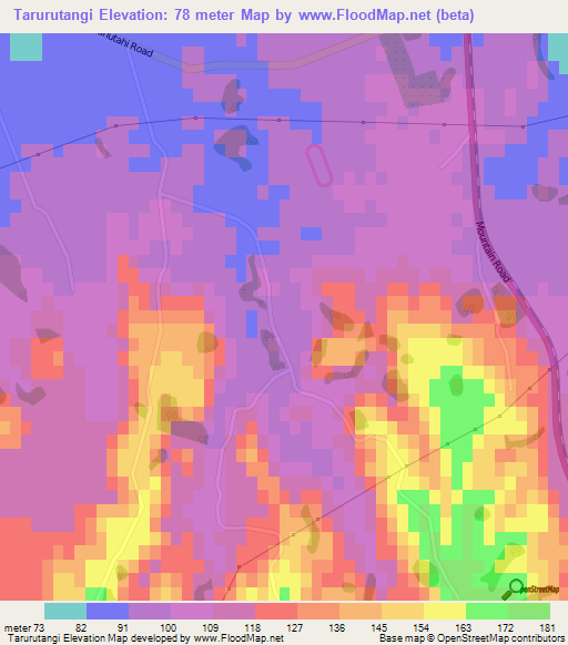 Tarurutangi,New Zealand Elevation Map
