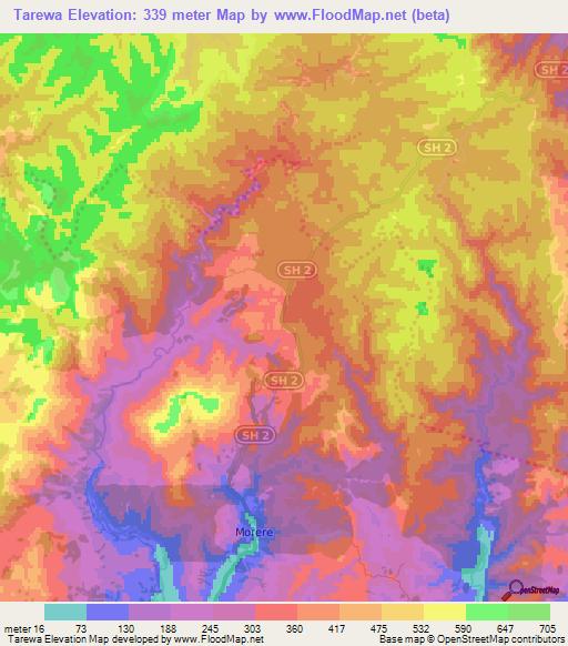 Tarewa,New Zealand Elevation Map
