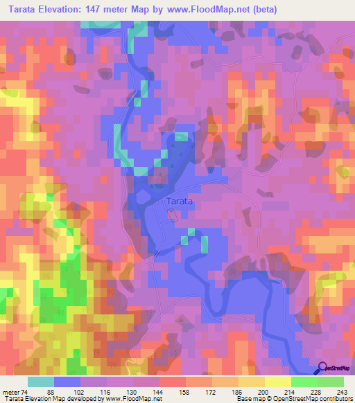 Tarata,New Zealand Elevation Map