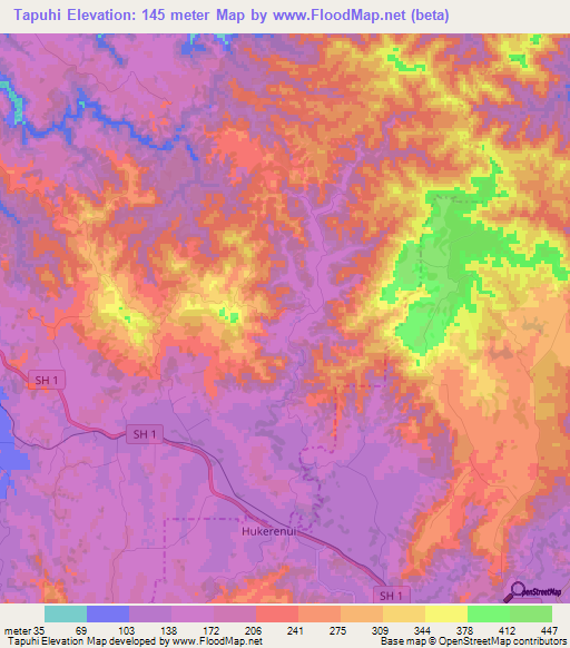 Tapuhi,New Zealand Elevation Map