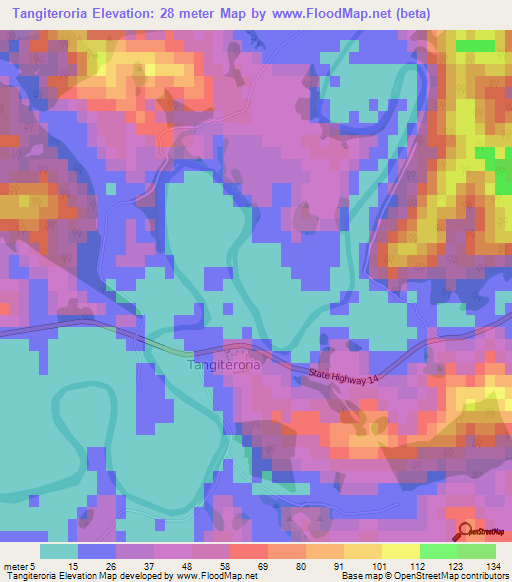 Tangiteroria,New Zealand Elevation Map