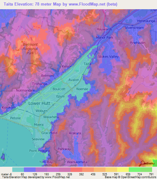 Taita,New Zealand Elevation Map