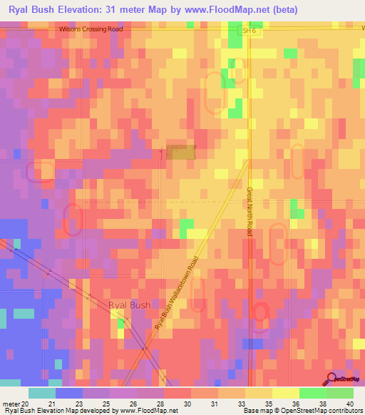 Ryal Bush,New Zealand Elevation Map