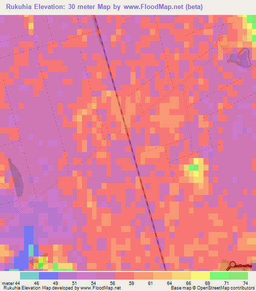Rukuhia,New Zealand Elevation Map