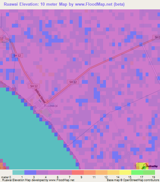 Ruawai,New Zealand Elevation Map