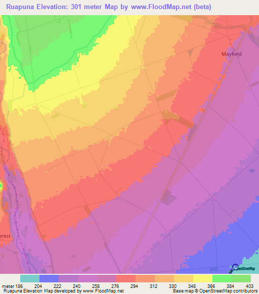 Ruapuna,New Zealand Elevation Map