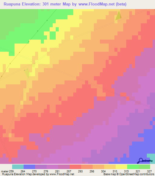 Ruapuna,New Zealand Elevation Map