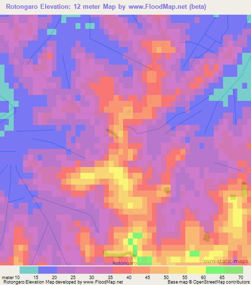 Rotongaro,New Zealand Elevation Map