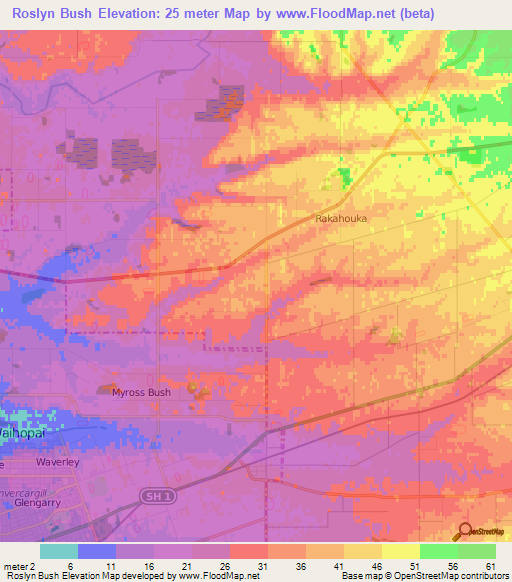 Roslyn Bush,New Zealand Elevation Map
