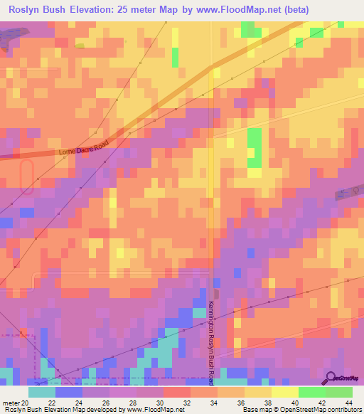 Roslyn Bush,New Zealand Elevation Map