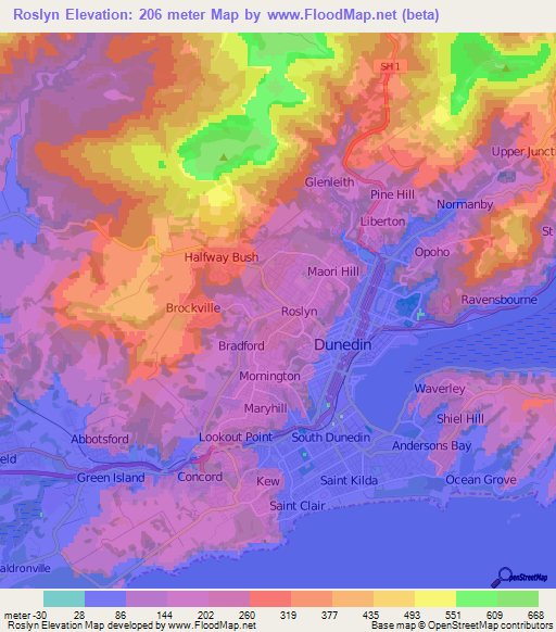 Roslyn,New Zealand Elevation Map