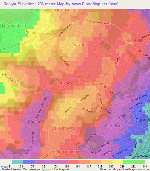 Roslyn,New Zealand Elevation Map