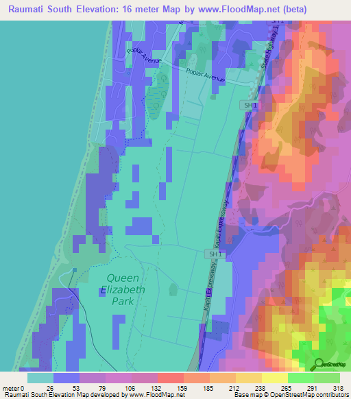 Raumati South,New Zealand Elevation Map