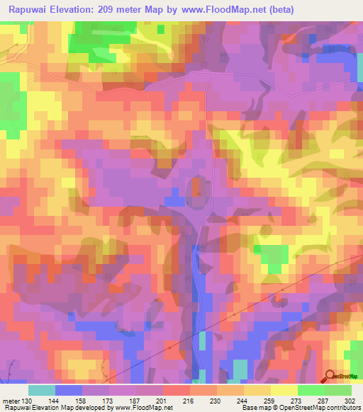 Rapuwai,New Zealand Elevation Map