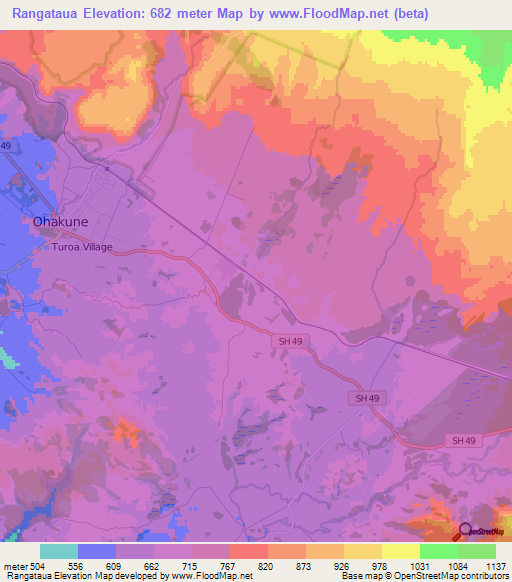 Rangataua,New Zealand Elevation Map