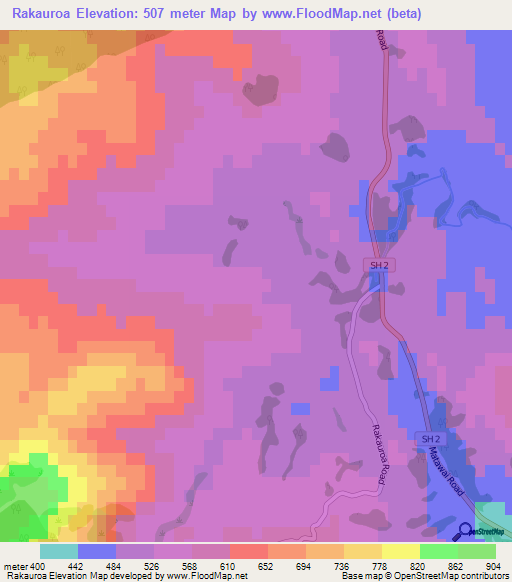 Rakauroa,New Zealand Elevation Map
