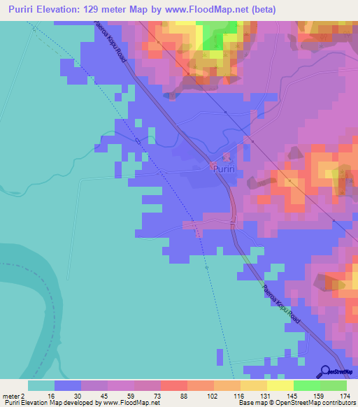 Puriri,New Zealand Elevation Map