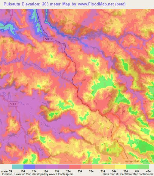 Puketutu,New Zealand Elevation Map