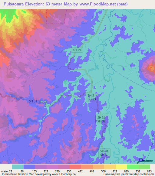 Puketotara,New Zealand Elevation Map