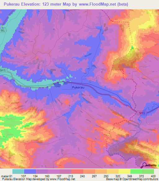 Pukerau,New Zealand Elevation Map