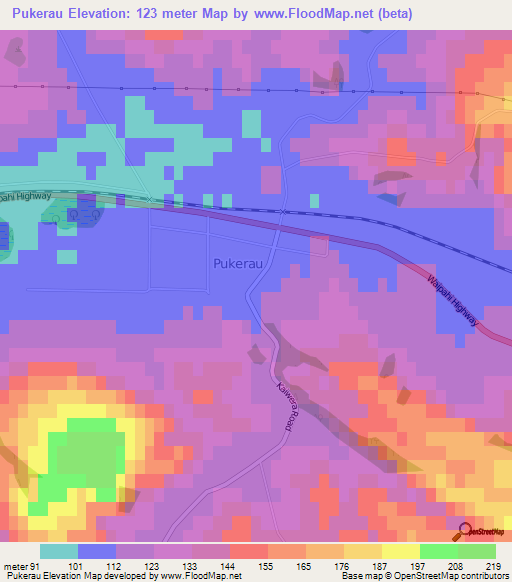 Pukerau,New Zealand Elevation Map