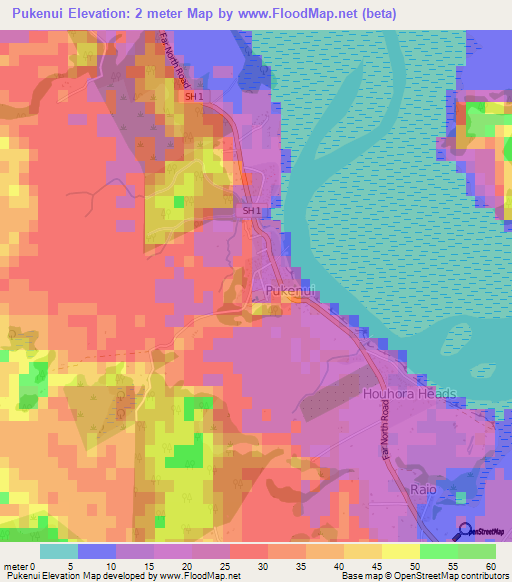 Pukenui,New Zealand Elevation Map