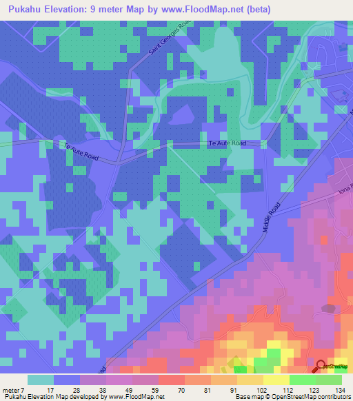 Pukahu,New Zealand Elevation Map