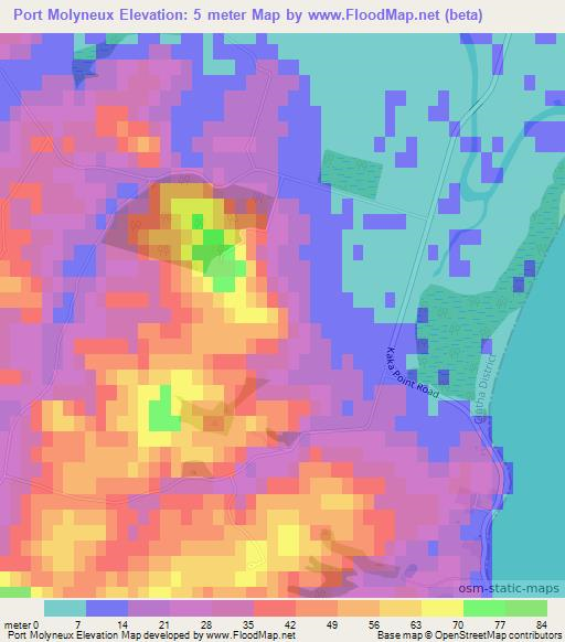 Port Molyneux,New Zealand Elevation Map
