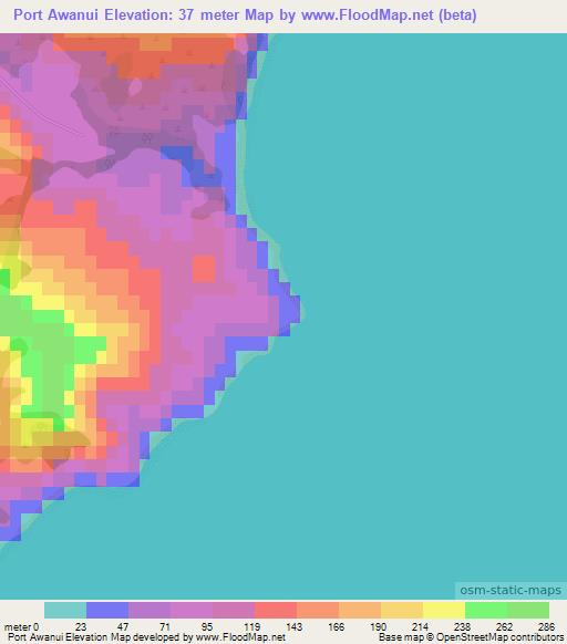 Port Awanui,New Zealand Elevation Map