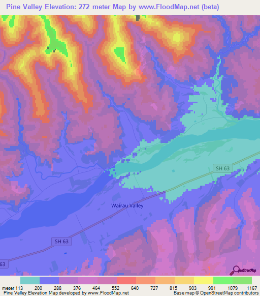 Pine Valley,New Zealand Elevation Map