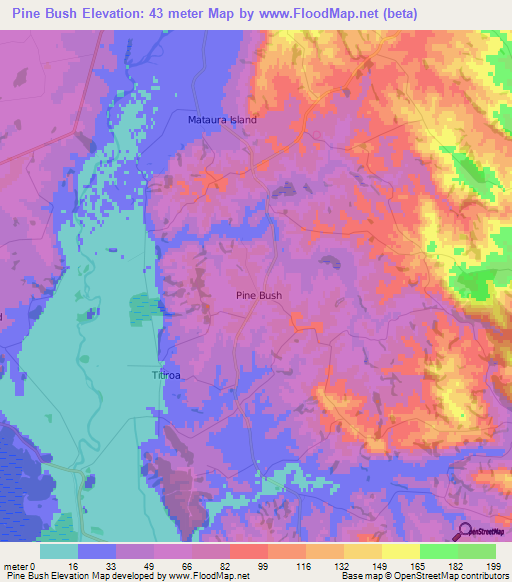 Pine Bush,New Zealand Elevation Map