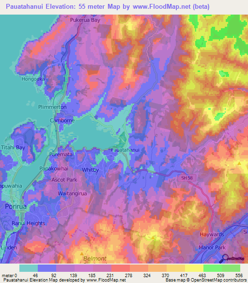 Pauatahanui,New Zealand Elevation Map