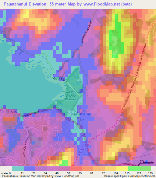 Pauatahanui,New Zealand Elevation Map