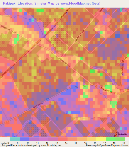 Pakipaki,New Zealand Elevation Map