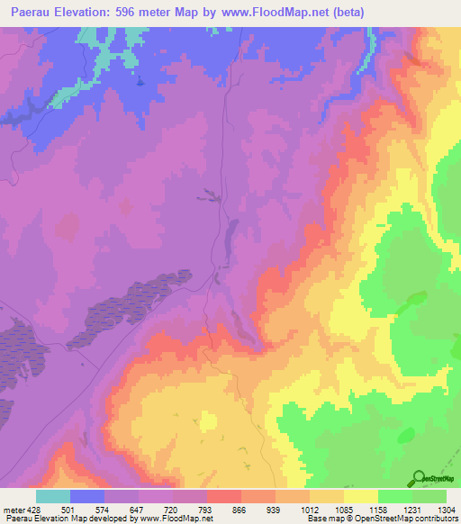 Paerau,New Zealand Elevation Map