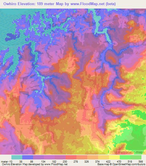 Owhiro,New Zealand Elevation Map