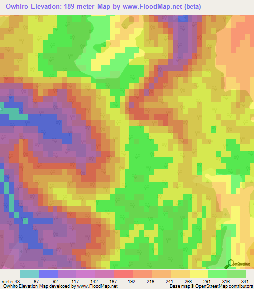Owhiro,New Zealand Elevation Map