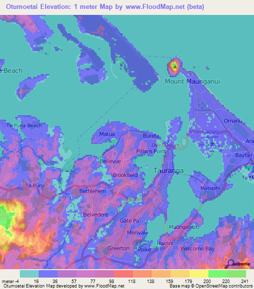 Otumoetai,New Zealand Elevation Map