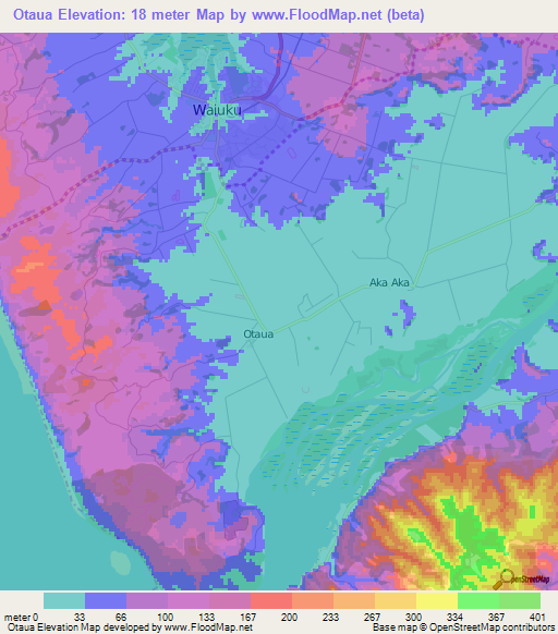 Otaua,New Zealand Elevation Map