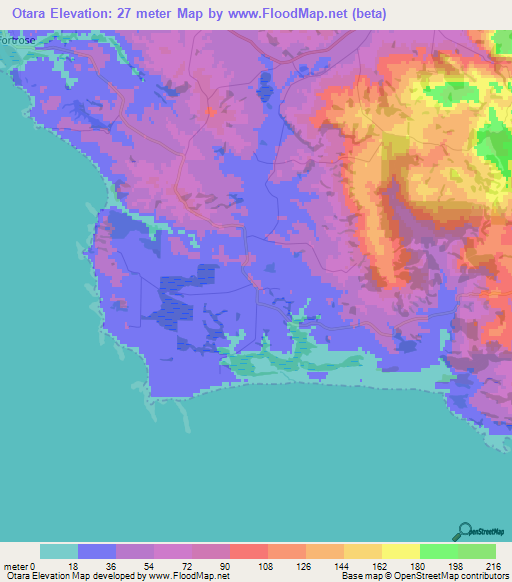 Otara,New Zealand Elevation Map